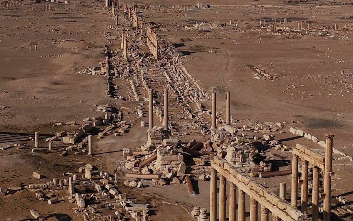 The great colonnade of Palmyra, seen from above